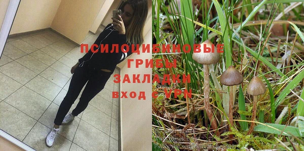 мяу мяу кристалл Алексин