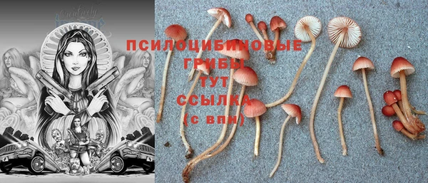 кокаин премиум Алексеевка