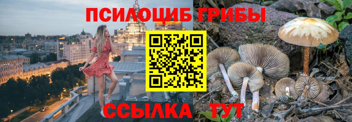 Галлюциногенные грибы прущие грибы Глазов